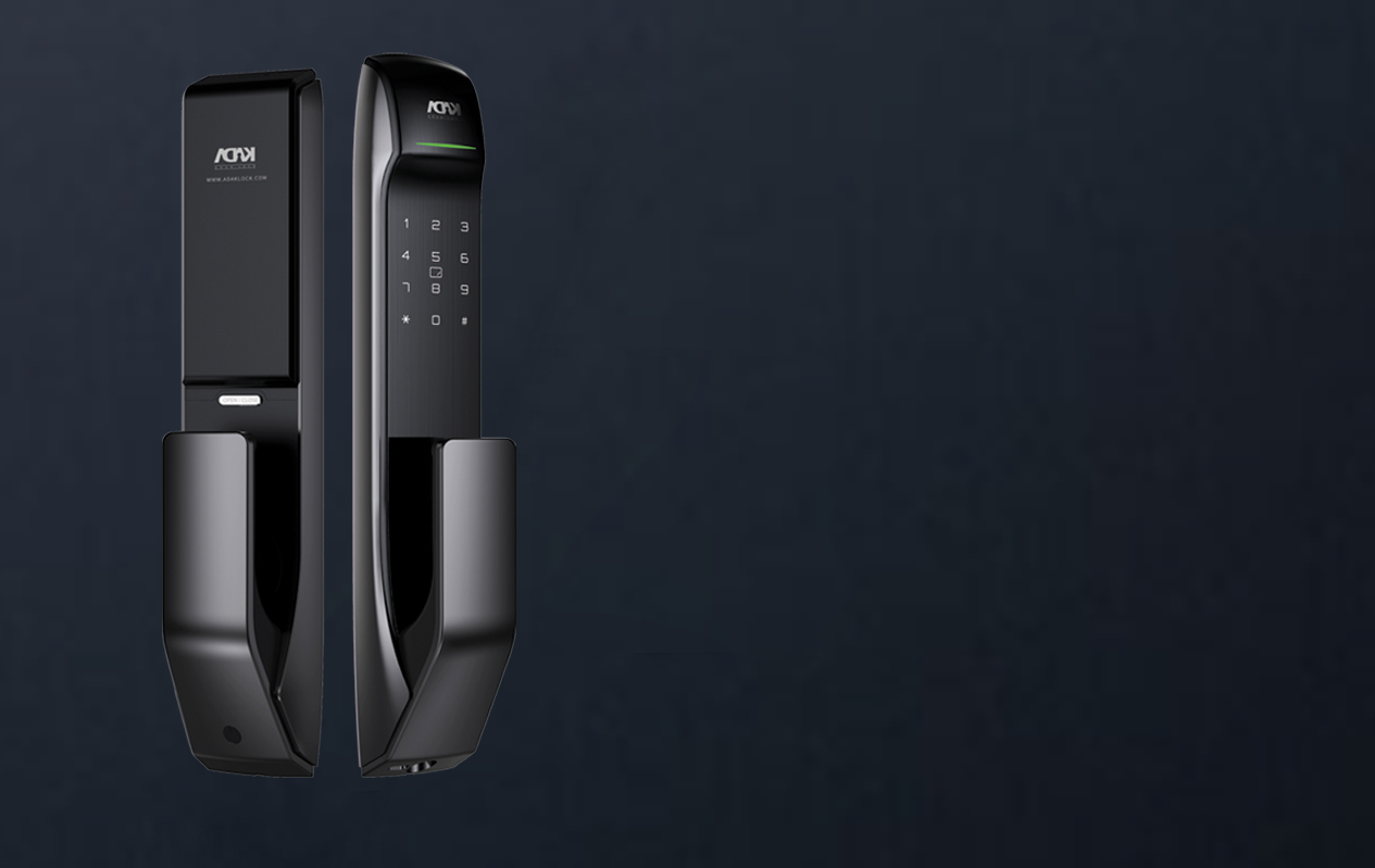 اندیشه داران ابد کوشا