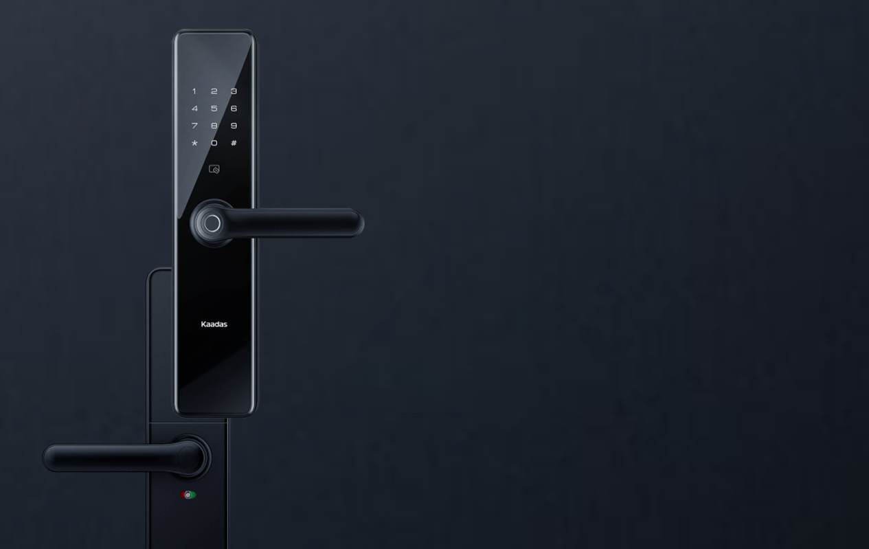 اندیشه داران ابد کوشا